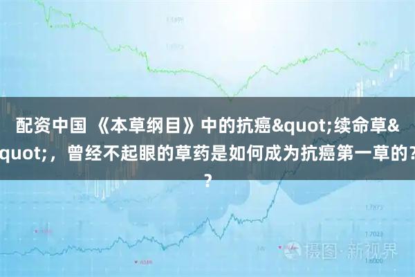 配资中国 《本草纲目》中的抗癌"续命草"，曾经不起眼的草药是如何成为抗癌第一草的？